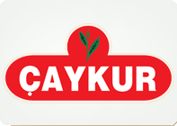 Caykur logo